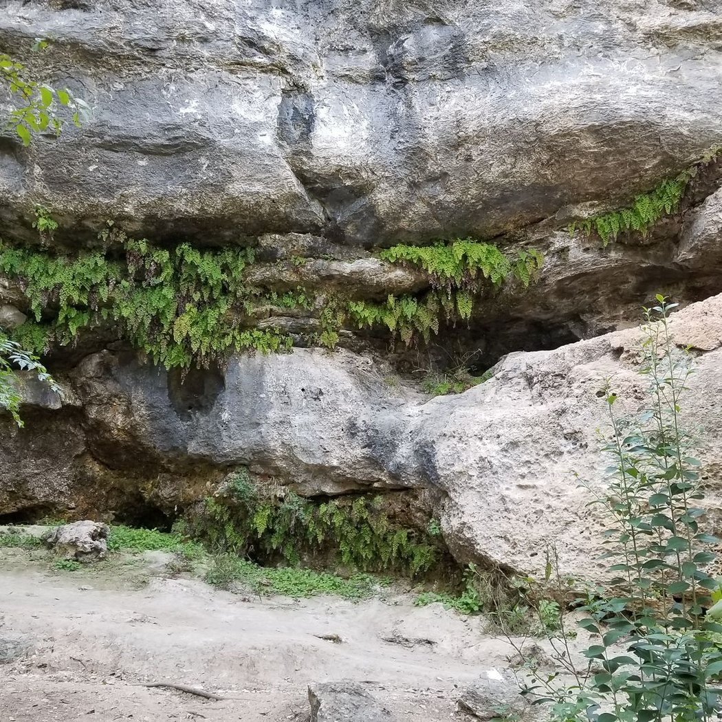 Geology of McKinney Falls Exploration Table 3